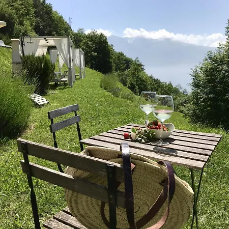 Borgo Le Vigne - La Barrique Only Adults Apartment
