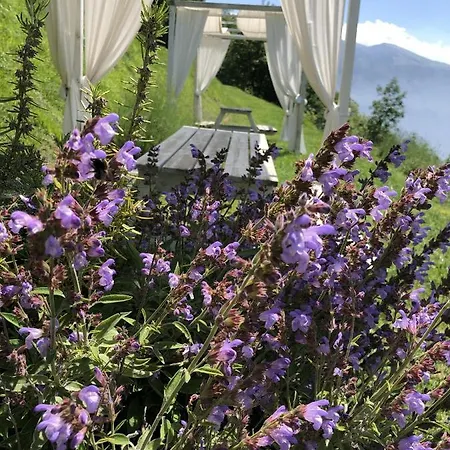 Apartment Borgo Le Vigne - La Barrique Only Adults